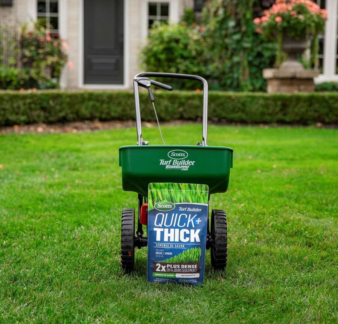 Scotts Turf Builder Quick + Thick Grass Seed - Sunny Bluegrass Mix 1.2kg For Fast Lawn Growth